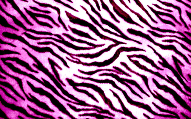 Zebra print pink background black free wallpaper - medium preview image