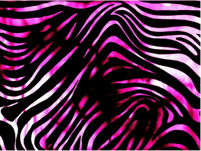 Zebra print pink background black #3 free wallpaper - medium preview image