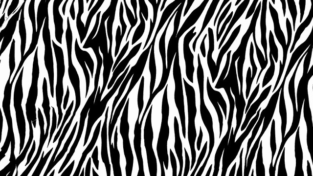 Zebra print black white stripes free wallpaper - medium preview image