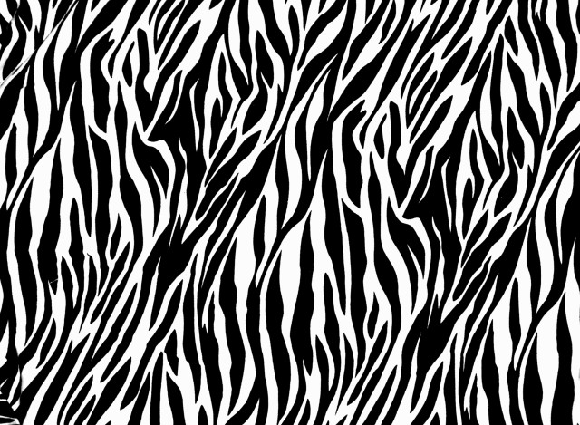 Black white zebra print pattern free wallpaper - medium preview image