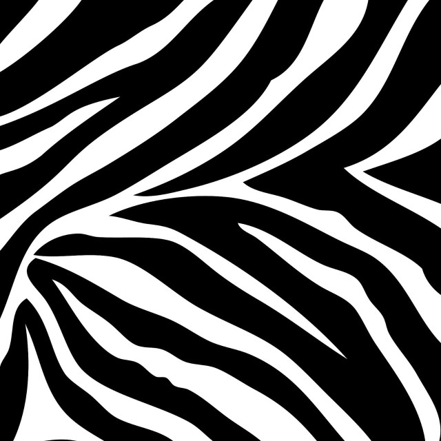 Zebra print pattern black white #3 free wallpaper - medium preview image