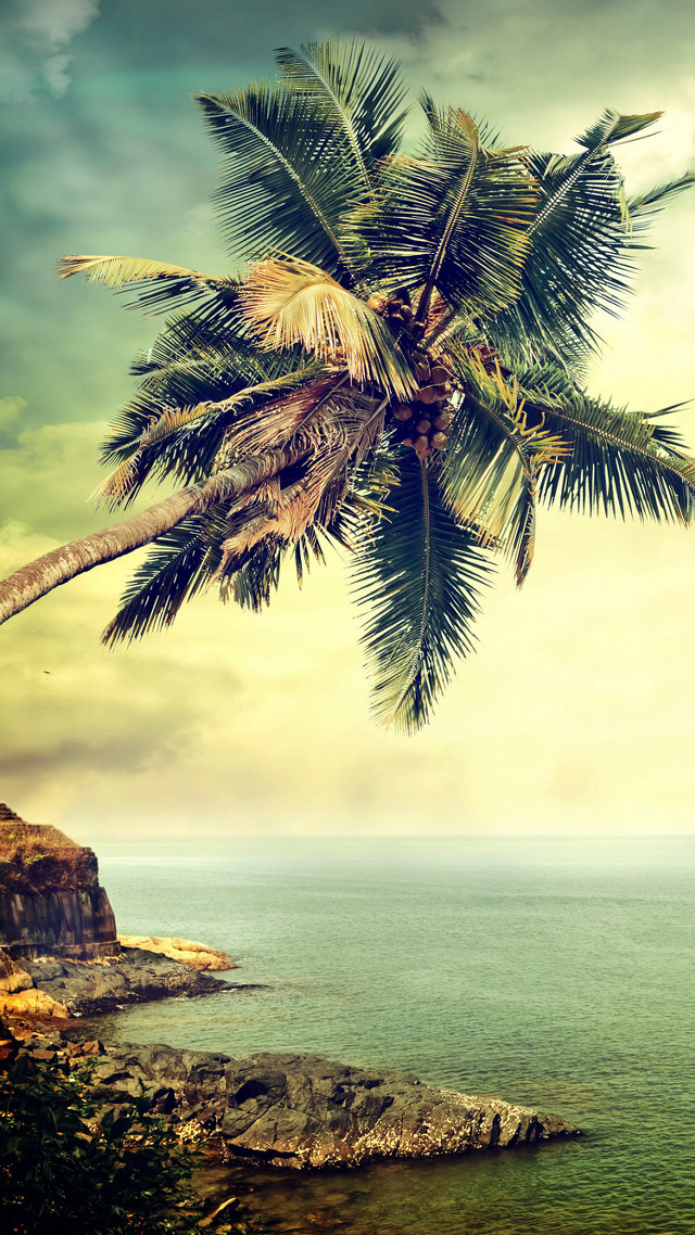 Palm tree cliff ocean boat free wallpaper - medium preview image