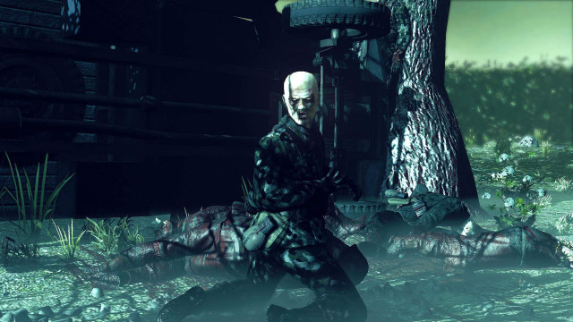 Man black white outfit swamp free wallpaper - medium preview image
