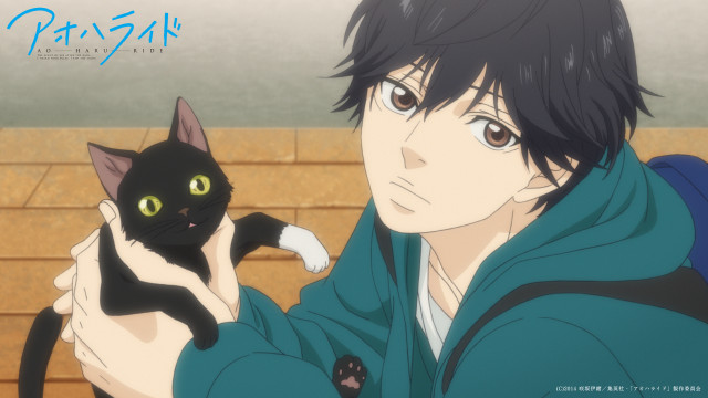 Man holding black cat green free wallpaper - medium preview image