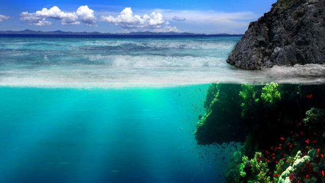 Large rock coral reef ocean free wallpaper - medium preview image
