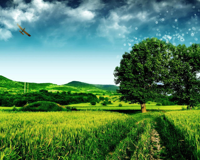 Plane over lush green field free wallpaper - medium preview image