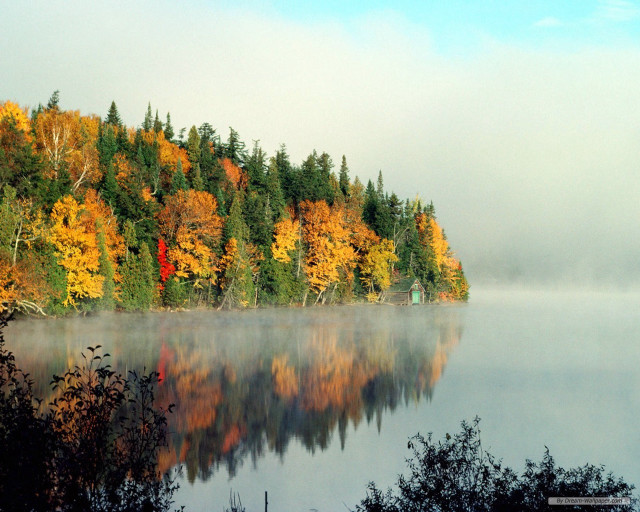 Lake autumn foliage fog trees free wallpaper - medium preview image