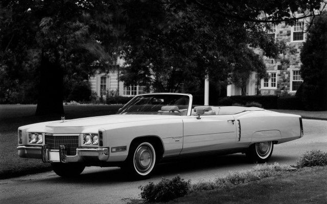 White car parked road tree free wallpaper - medium preview image