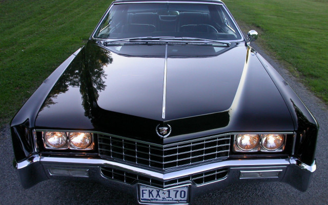 Black car road grass trees free wallpaper - medium preview image