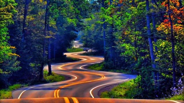 Curved road trees bushes yellow free wallpaper - medium preview image