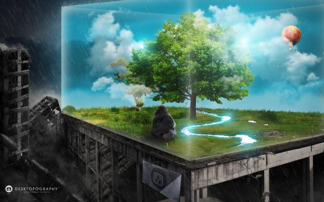 Tree gorilla bridge rain hotairballoon free wallpaper - medium preview image