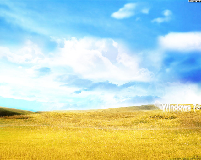 Field blue sky clouds yellow free wallpaper - medium preview image