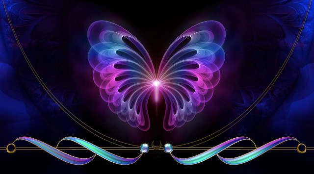 Butterfly purple blue wings black #3 free wallpaper - medium preview image