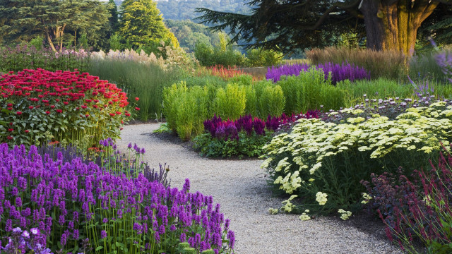 Garden gravel path colorful flowers free wallpaper - medium preview image