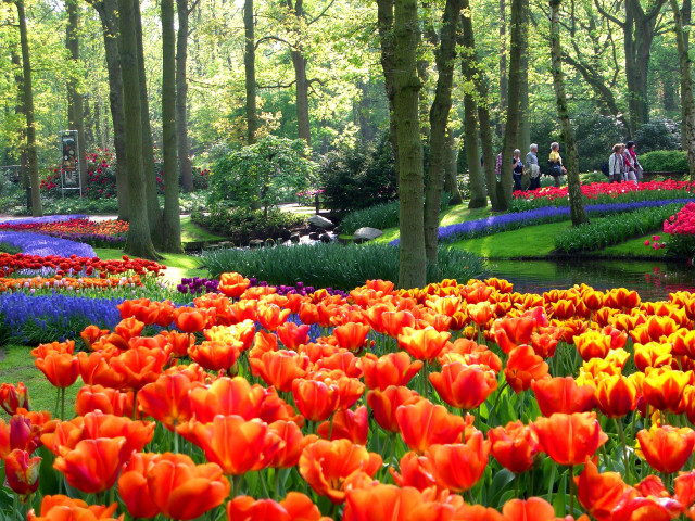 Field flowers people walking trees free wallpaper - medium preview image
