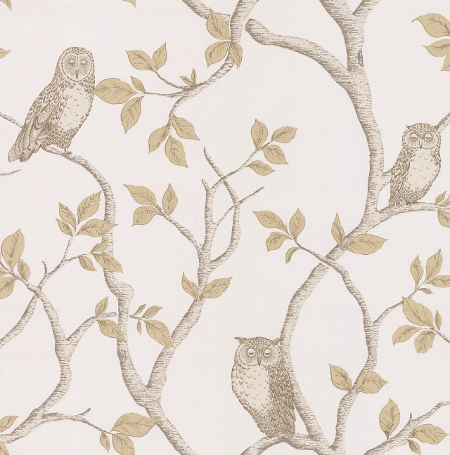 Tree owls leaves wallpaper nature free wallpaper - medium preview image
