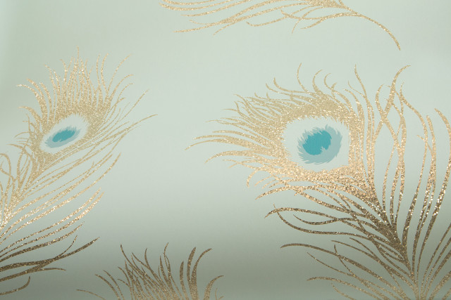 Gold blue wall peacock feather free wallpaper - medium preview image