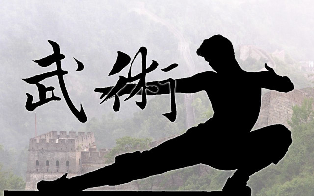 Karate man mountain top castle free wallpaper - medium preview image