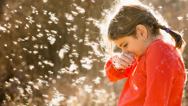 Young girl blowing dandelion field free wallpaper - medium preview image