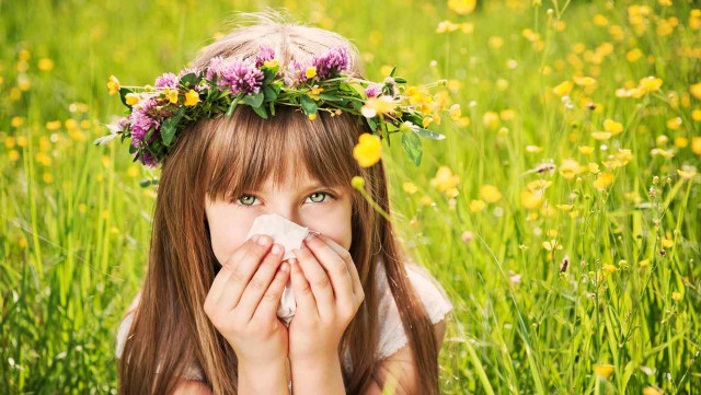 Girl wreath flowers mouth napkin free wallpaper - medium preview image