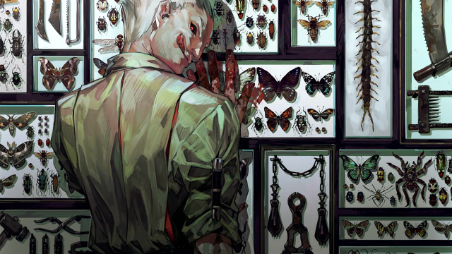 Man butterflies moths museum display free wallpaper - medium preview image