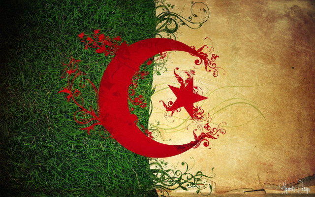 Grungy flag star crescent grass free wallpaper - medium preview image