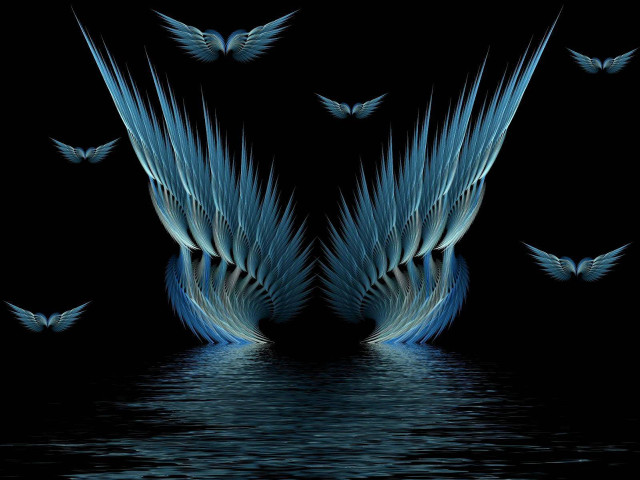 Birds flying over water wings free wallpaper - medium preview image