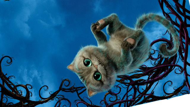 Cat flying paws ground eyes free wallpaper - medium preview image