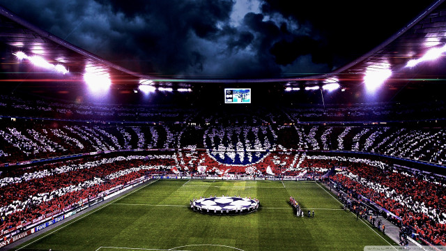 Stadium crowd people flag field free wallpaper - medium preview image