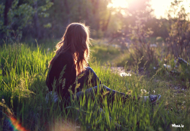 Woman sitting grass sunlight trees free wallpaper - medium preview image