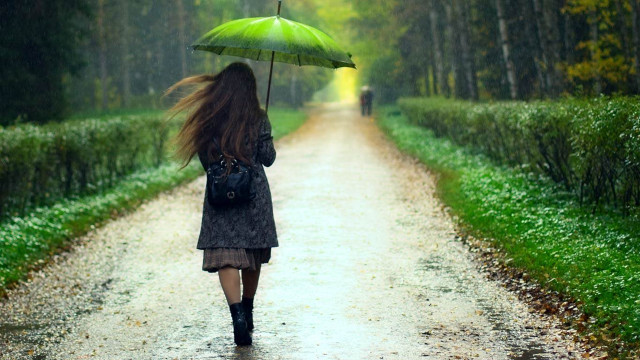 Woman walking road umbrella rain free wallpaper - medium preview image