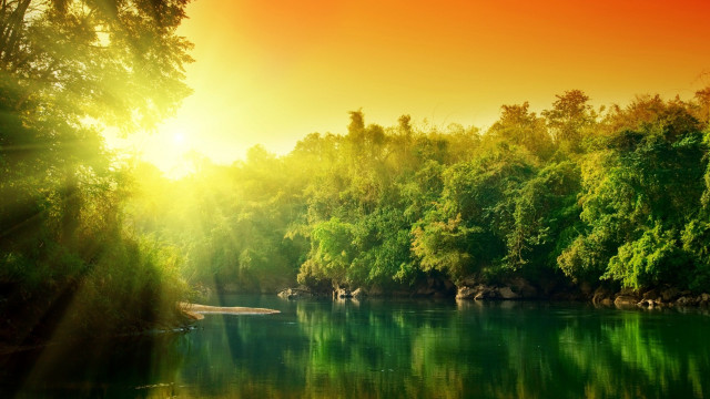 River sunlight trees water foreground free wallpaper - medium preview image