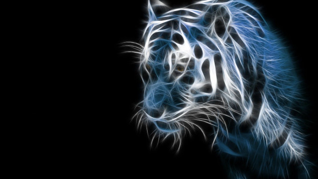 Blue white tiger dark background #2 free wallpaper - medium preview image