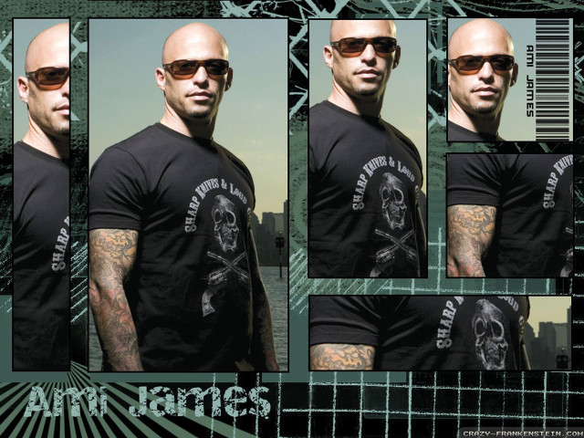 Bald man black shirt sunglasses free wallpaper - medium preview image