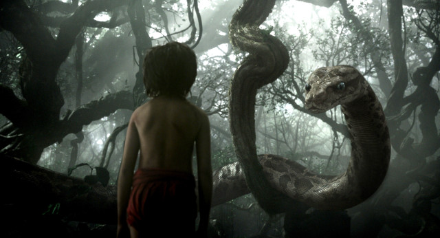 Boy looking snake forest trees free wallpaper - medium preview image