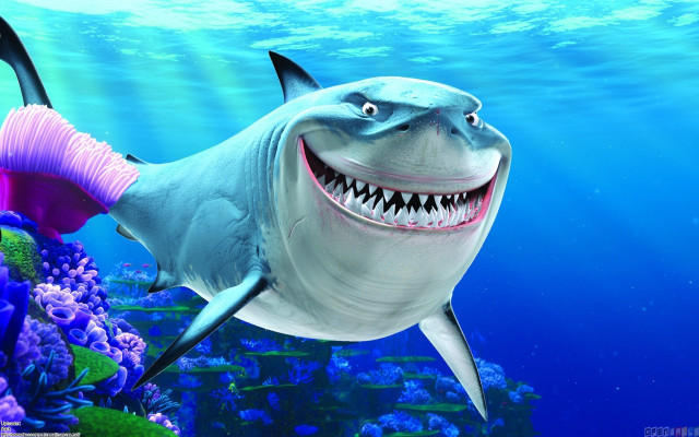 Shark pink tail smile swimming free wallpaper - medium preview image