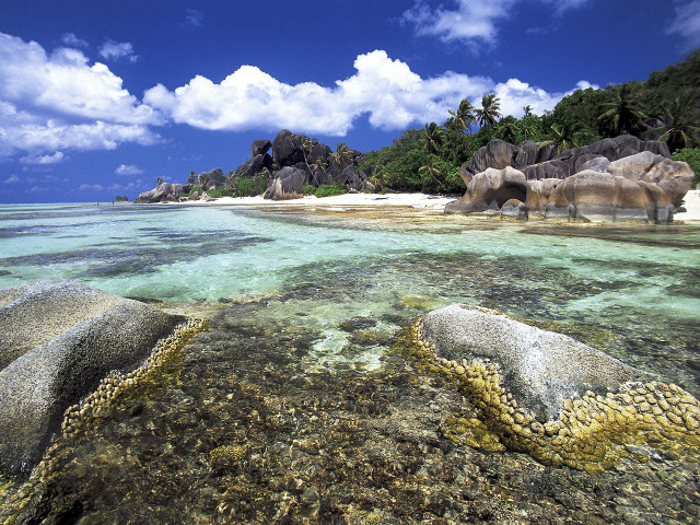 Beach rocks corals blue sky free wallpaper for desktop - medium preview image