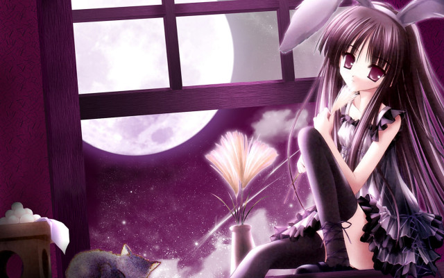Girl window sill cat full free wallpaper - medium preview image