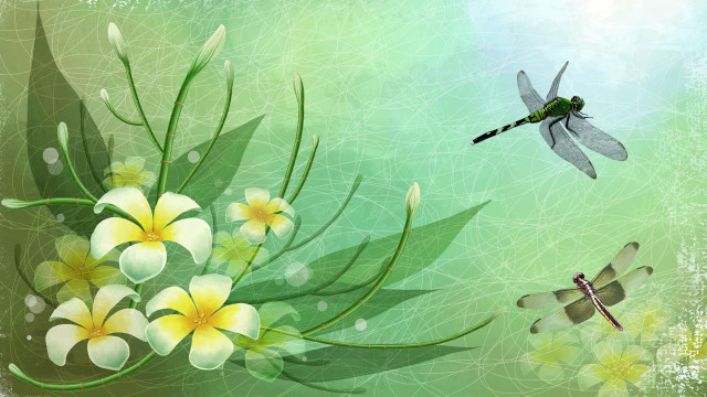 Dragonfly flying over flowers and #2 free wallpaper - medium preview image