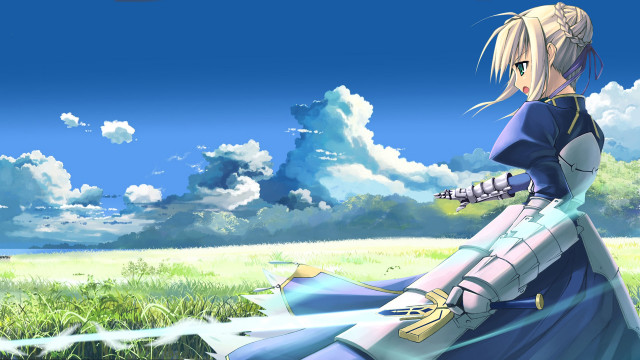 Woman blue dress grass field free wallpaper - medium preview image