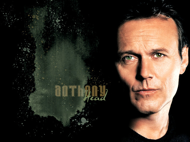 Man serious green background bottom free wallpaper - medium preview image