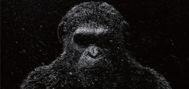 Gorilla snow black background white free wallpaper - medium preview image