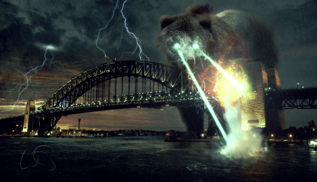 Bear water lightning bolt bridge free wallpaper - medium preview image