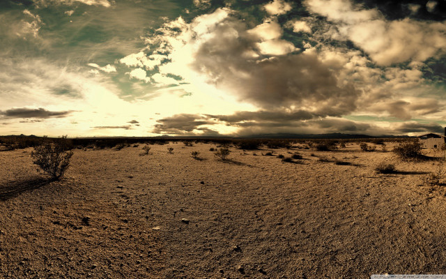 Desert lone tree cloudy sky free wallpaper - medium preview image