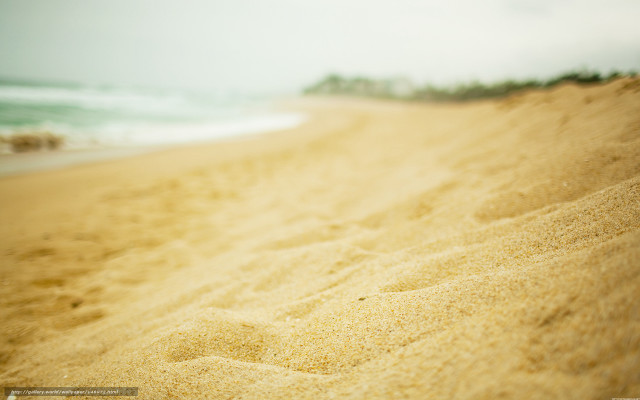 Sandy beach wave person walking free wallpaper - medium preview image