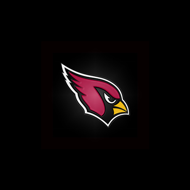 Cardinal logo bird head digital free wallpaper - medium preview image