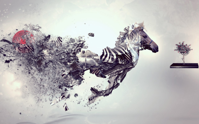 Zebra jumping tree television foreground free wallpaper - medium preview image