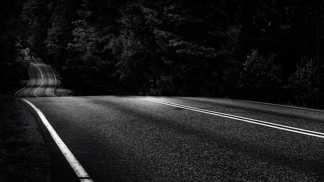 Black white road trees stop free wallpaper - medium preview image