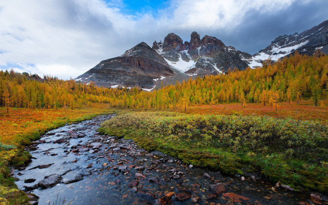 Stream lush forest snow covered free wallpaper - medium preview image
