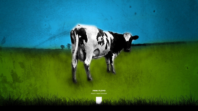 Cow standing field grass blue free wallpaper - medium preview image